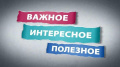 Паспорта и свидетельства: что важно знать о документах на ребенка