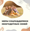 Меры социальной поддержки многодетных семей